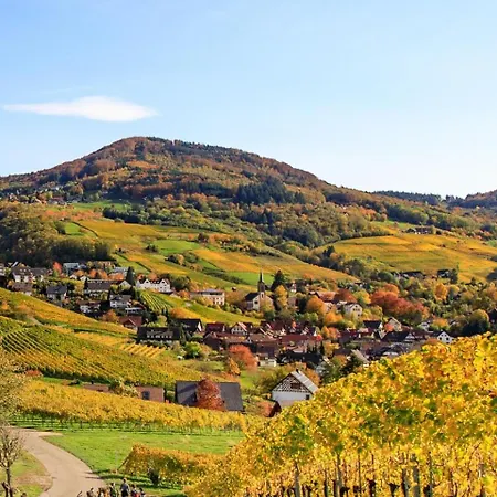 Hochkopf - Premium - Schwarzwald Appartement Bühl