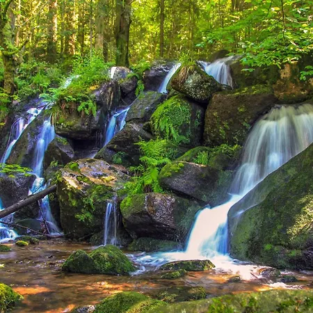 Hochkopf - Premium - Schwarzwald Apartamento