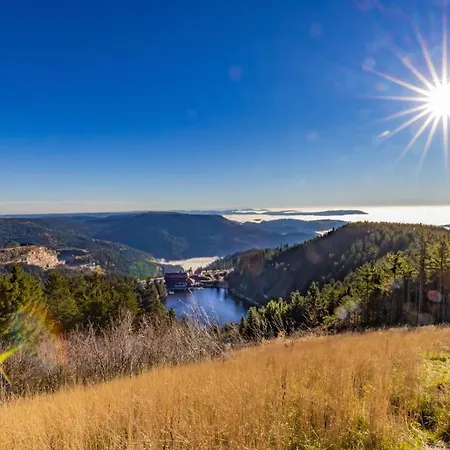 Hochkopf - Premium - Schwarzwald Bühl