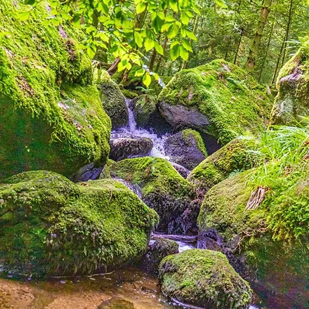 Hochkopf - Premium - Schwarzwald Apartamento