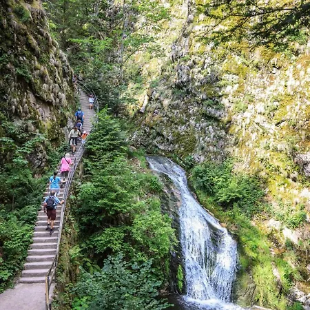 Apartamento Hochkopf - Premium - Schwarzwald Bühl