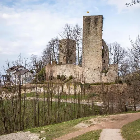Hochkopf - Premium - Schwarzwald Appartement