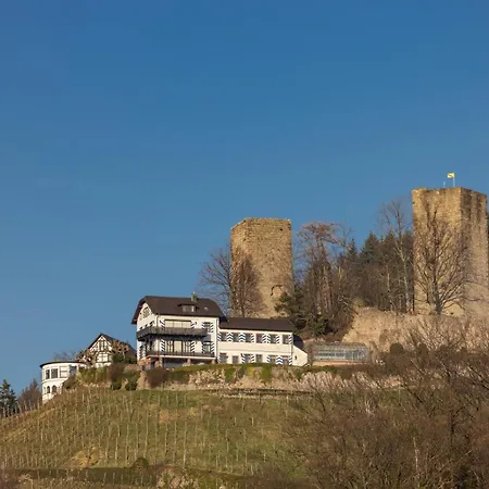 Hochkopf - Premium - Schwarzwald *